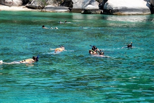 snorkel cala llevado